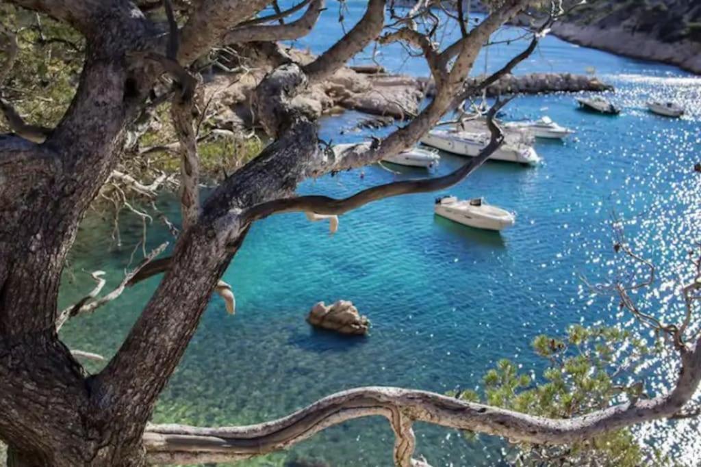Duplex Notre Dame Du Mont Climatisation Leilighet Marseille Eksteriør bilde
